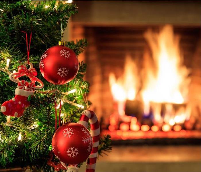"a small Christmas tree in front of a burning fireplace " 