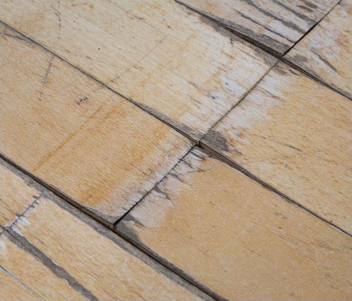 "a zoomed in view of a wooden floor showing signs of water damage "